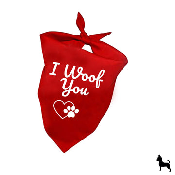 Paliacate de perro san Valentín